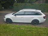 Skoda Octavia 1.0 TSI DSG Drive Combi Drive 8 x ALU - Skoda Octavia: Drive