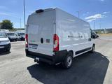 Fiat DUCATO KASTEN 35 L3H2 140 AUTOMATIK 38% - scheckheftgepflegte Fiat Gebrauchtwagen