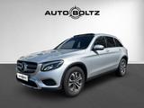 Mercedes-Benz GLC 250 4Matic Exclusive PANO LED - Mercedes-Benz GLC 250 in Mannheim