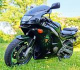 Kawasaki Ninja ZX-6R Klassiker mit prof. Airbrush-Design - Offers matching your search criteria