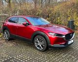 Mazda CX-30 Diesel Automatik LED 360° abnehmbare AHK  - Mazda CX-30 Diesel Gebrauchtwagen