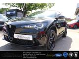 Alfa Romeo Stelvio Quadrifoglio Q4 2.9 V6 Bi-Turbo Panorama - Alfa Romeo Gebrauchtwagen in Berlin
