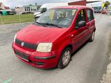 Fiat Panda - 8-fach * 1. Hand - Fiat Panda aus 2010