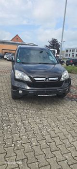Honda CR-V Executive - Honda CR-V aus 2008
