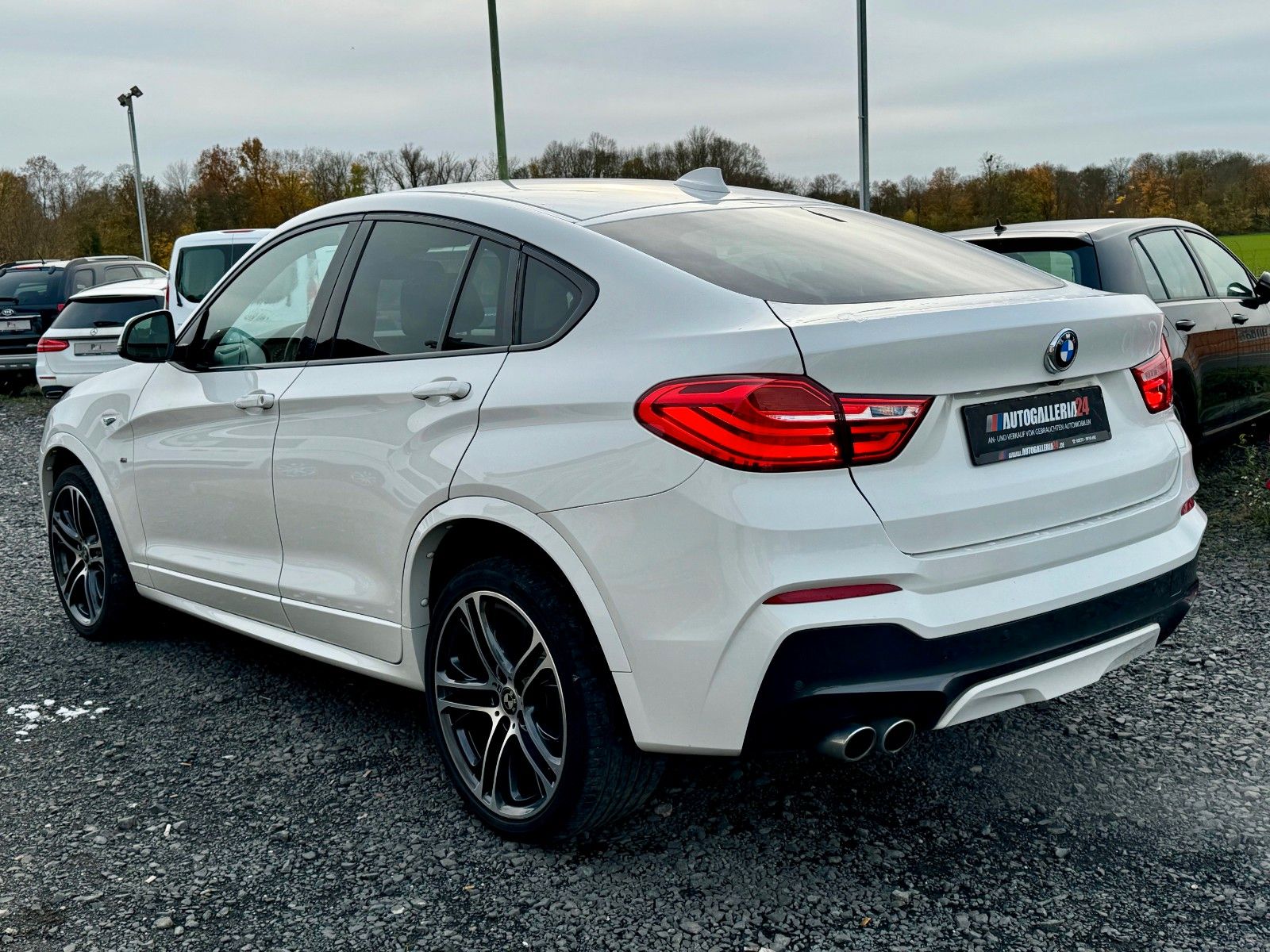 Fahrzeugabbildung BMW X4 xDrive30d M SPORTPAKET Sport-Aut. Navi Leder