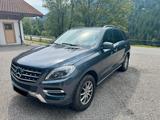 Mercedes-Benz ML 350 BlueTEC 4MATIC - Mercedes-Benz ML 350 Gebrauchtwagen