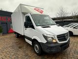 Mercedes-Benz Sprinter II KOFFER 316 CDI HU neu 84tkm - Mercedes-Benz Fahrgestell 8