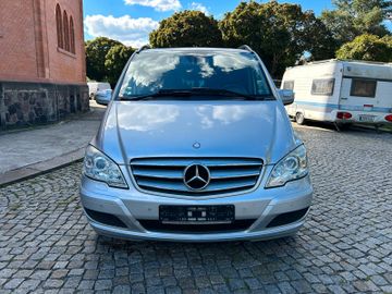 Mercedes Viano - 3