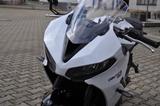 Triumph Daytona  inclusive A2 Umrüstung - TRIUMPH SPORTLER