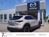Mazda CX-30 Homura 140 Automatik Navi|Alexa|LED - Mazda Gebrauchtwagen in Essen