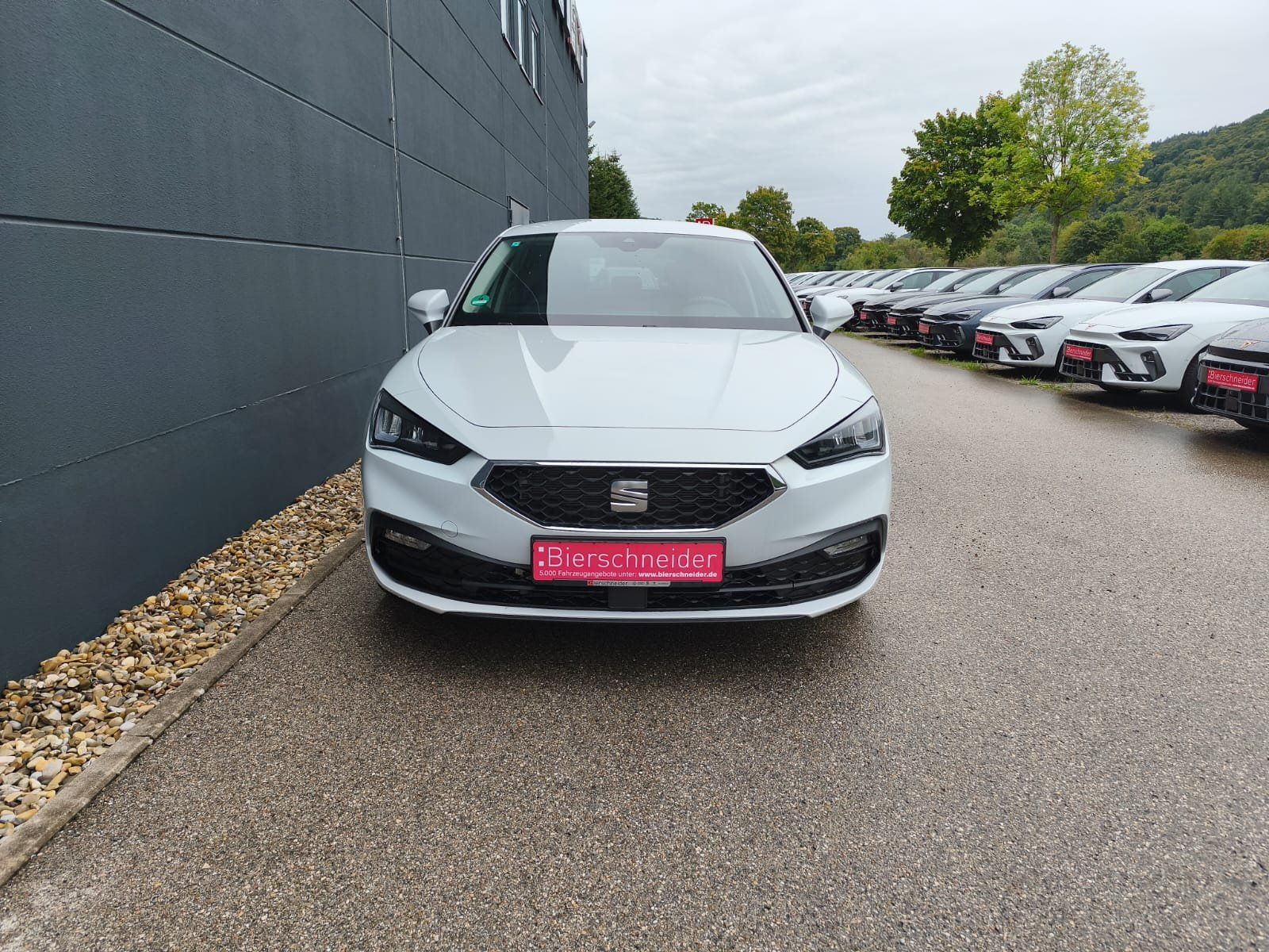 Seat Leon - Bild 2
