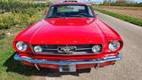 Ford 65er Ford Mustang V8 mit Pony- & GT-Aussta... - Ford Mustang in Krefeld