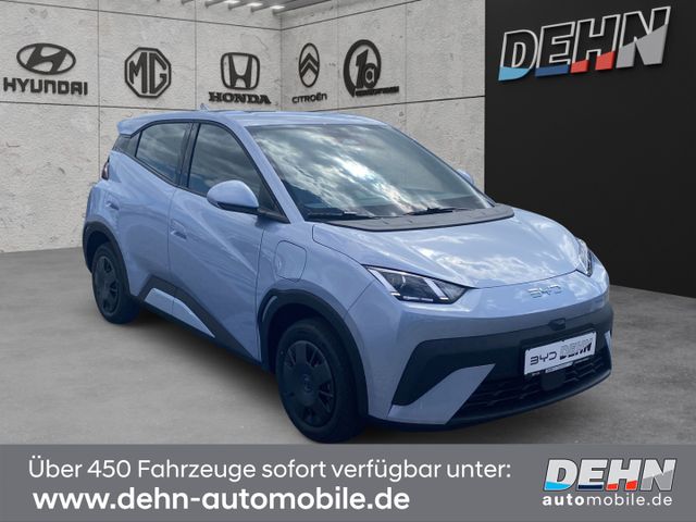 BYD Dolphin Surf Active