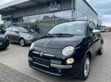 Fiat 500  Cabrio Pop Star - Fiat 500C: Leder