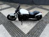 Harley-Davidson V-ROD VRSCA Night Rod Ausstellungsfahrzeug  - HARLEY-DAVIDSON VRSCA