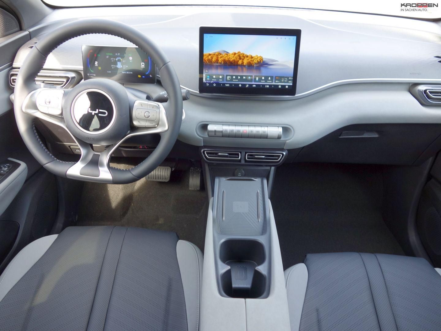BYD DOLPHIN SURF