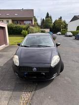 Fiat Punto 1.4 8V Dynamic Dynamic - Fiat Punto in Bonn
