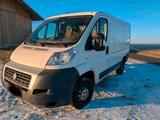 Fiat Transporter Bus Fiat Ducato - Fiat: Transporter