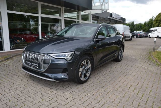 Audi e-tron 50 quattro advanced*Pano*Sitzheizung*AHK