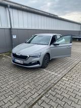 Skoda Scala 1.0 TSI 85kW DRIVE 125 DRIVE 125 - Skoda Scala von privat