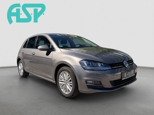 Fahrzeugabbildung Volkswagen Golf Comfortline DSG Veigl Compact 2 Commander