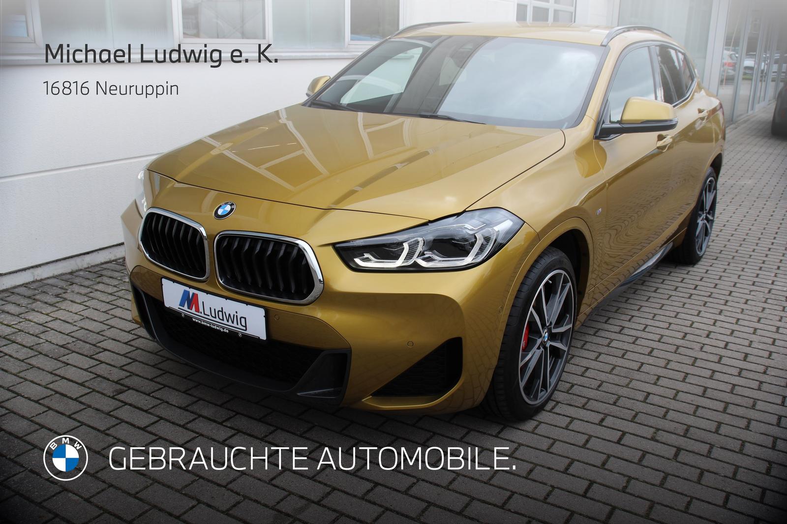 BMW X2 xDrive20d A M Sportpaket Head-Up HK HiFi DAB