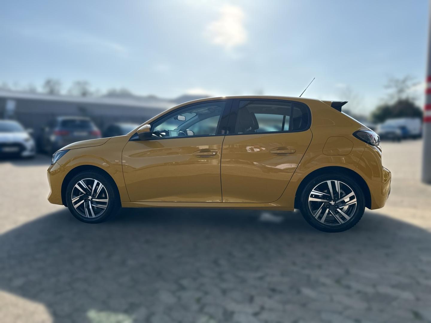 Peugeot 208 Allure SKY 1.2 PureTech 100  Allwetter Panor