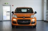 Fiat Panda Base *SHZ*KLIMA*SERVO* - Fiat Panda aus 2021