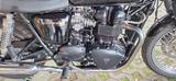 Triumph BONNEVILLE T 100 NEUZUGANG IM KUNDENAUFTRAG - TRIUMPH BONNEVILLE T100