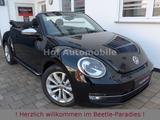 Volkswagen Beetle 1.2TSI Cup Xenon Navi SHZ PDC - Volkswagen Beetle Gebrauchtwagen