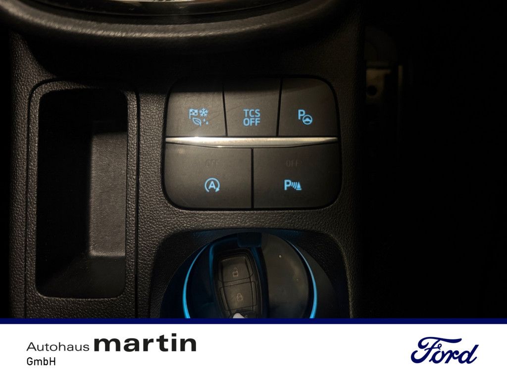 Fahrzeugabbildung Ford Puma 1.0 Titanium X NAVI B&O AKTIVSITZE LED PANO
