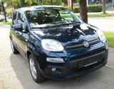 Fiat Panda Lounge*Klima*PDC*Automatik* - Fiat Panda: Automatik