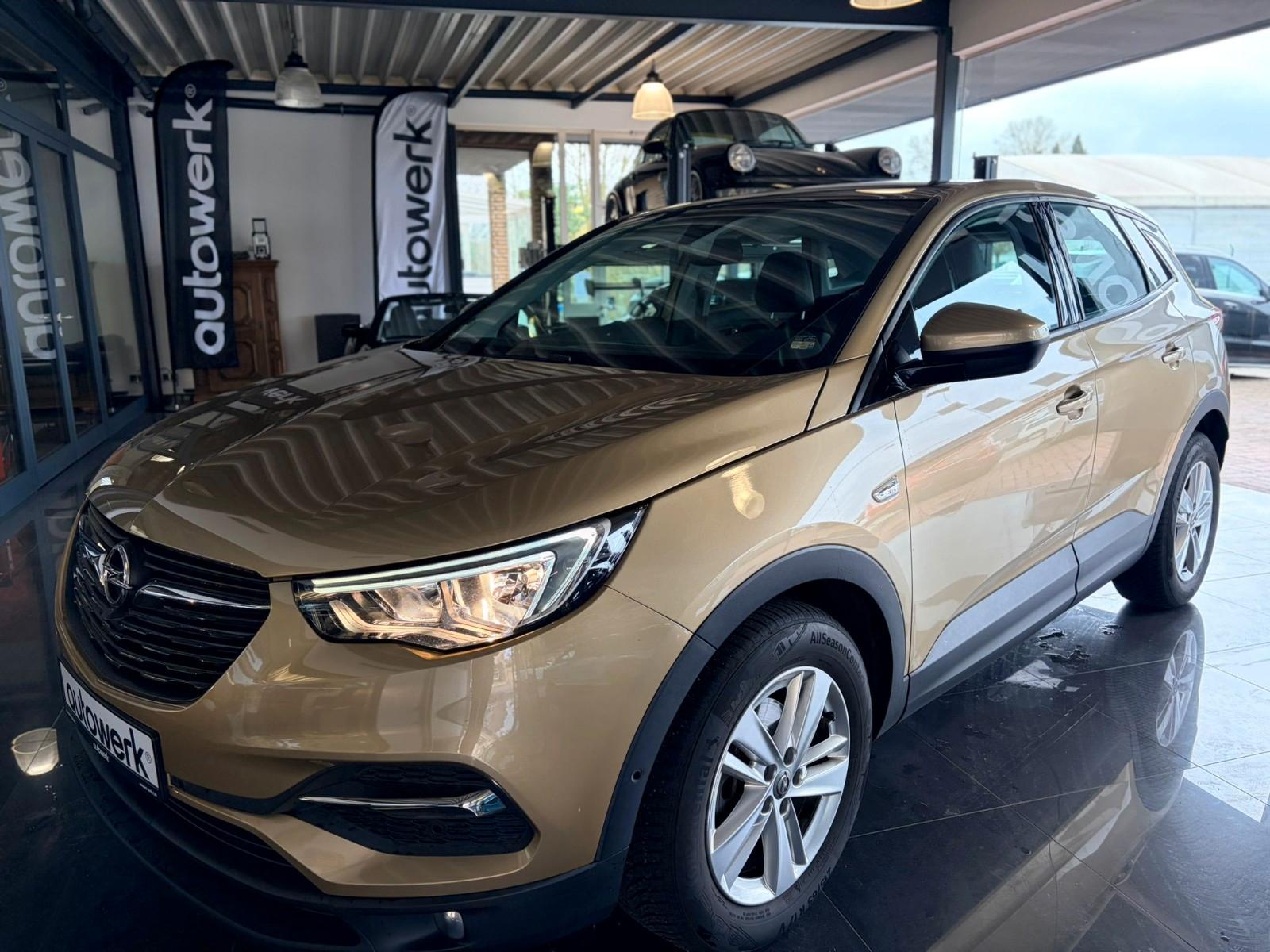 Opel Grandland (X) Automatik/Glasdach/Kamera