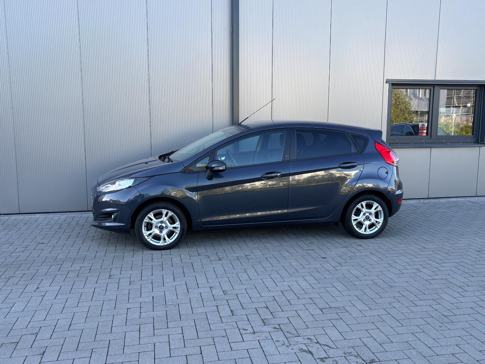 Ford Fiesta 2013 — photo 10