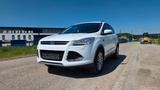 Ford Kuga 1,6 i 8fach bereift  - Ford Kuga: 1.6