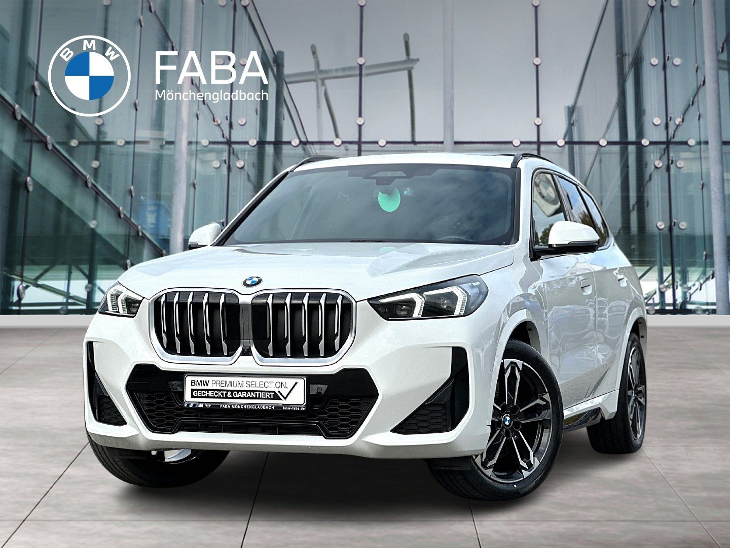 BMW X1 sDrive20i M Sportpaket Head-Up HK HiFi DAB