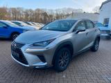 Lexus NX * 2.5 Hybrid | 300h | Kamera | Automatik - graue Lexus NX-Serie