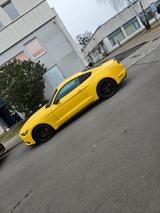 Ford Mustang 2.3 EcoBoost - - Ford Mustang in Berlin