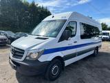 Mercedes-Benz Sprinter II Kasten 314 Cdi Aut. Bus *NettoPrice* - Mercedes-Benz Sprinter: Cdi