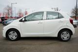 Kia Picanto 1.2 Edition 7 Klima Winterpaket USB - Kia Picanto: Edition 7