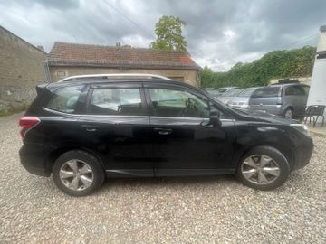 Subaru Forester - 5