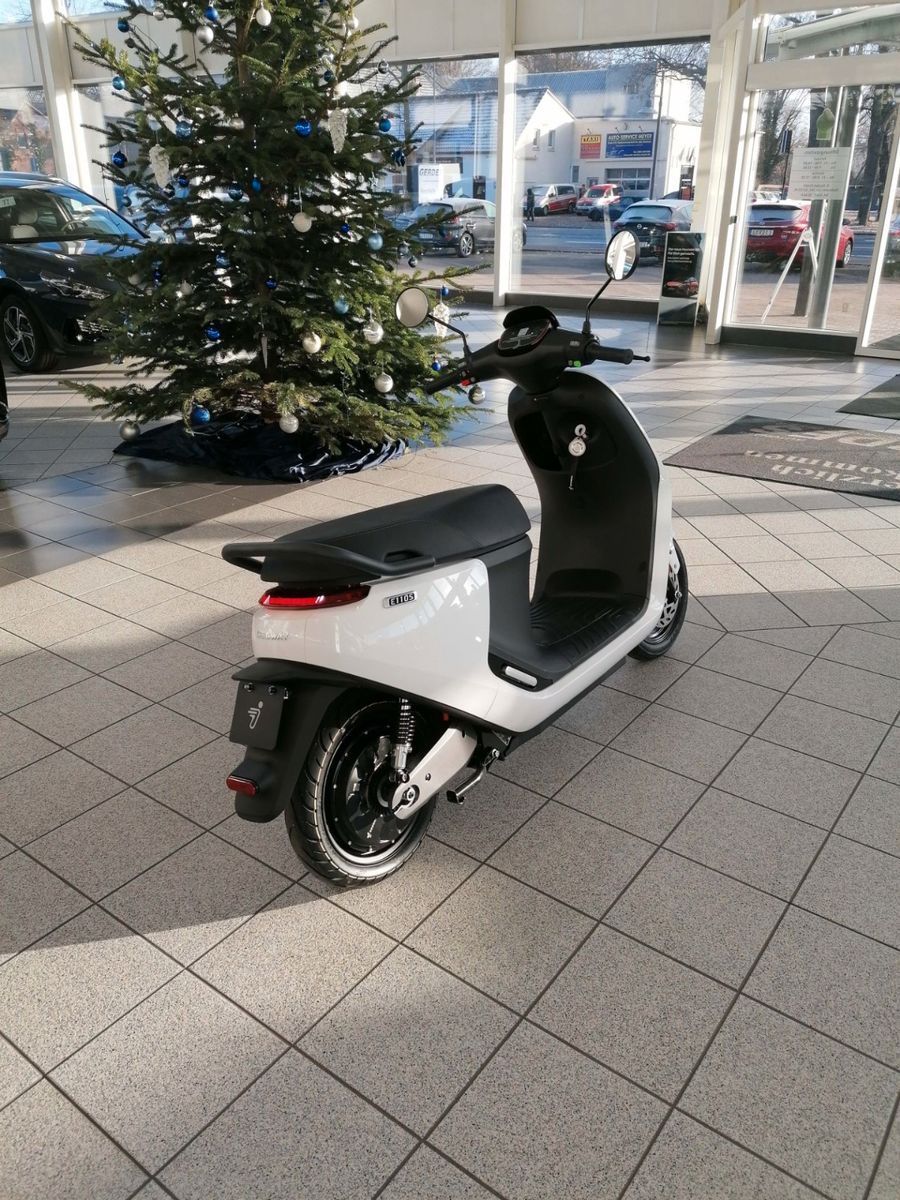 Fahrzeugabbildung Segway E110 S