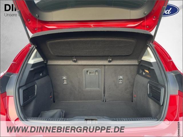 Ford Focus Vignale LED+Glasdach+AHK+Kamera+Navi, миниатюра 8