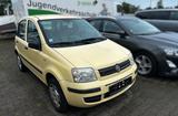 Fiat Panda 1.2 8V Natural Power Erdgas 1. Hand Klima - Fiat Panda mit CNG-Antrieb