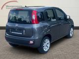 Fiat Panda Lounge 1.2 Bluetooth - Freisprecheinrichtu - Fiat Panda: 1.1