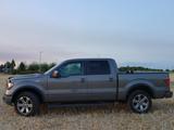 Ford F 150 5.0 V8 - Ford F 150