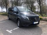 Mercedes-Benz Vito (lang) dunkelgrün - Camper Surfer Familien  - : Van, Familien
