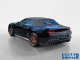 Ford Mustang GT Convertible 5.0 V8 KLIMA^ RFK^ NAVI^ - Ford Mustang: 5.0