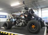 Andere E-ATV by Eicker E-ATV 950 SM - RENNSPORT VON 751 BIS 1000 CCM