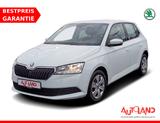 Skoda Fabia 1.0 MPI Cool Plus Sitzheizung Klima DAB